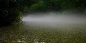 Reka Savinja (Foto: D. Turnšek)